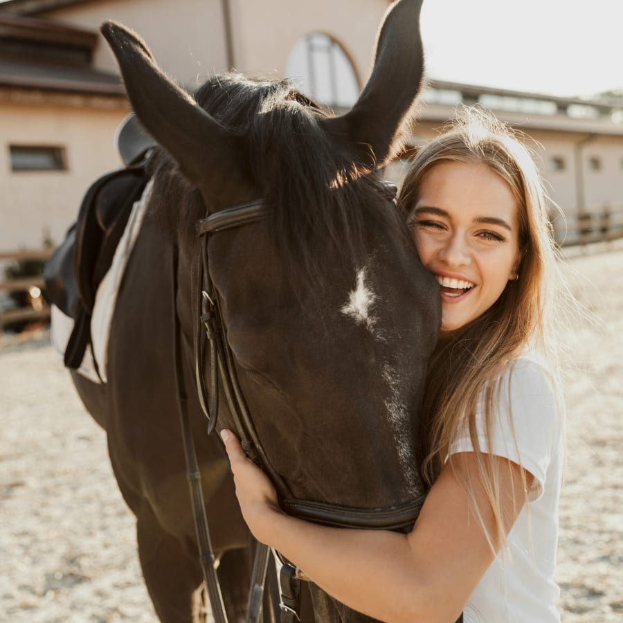 Equine Veterinary Care in Union City